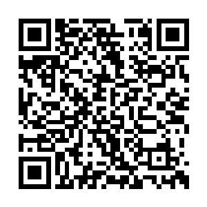 那是一个个百族灵魂冲向了正在开裂的浩劫裂缝二维码生成