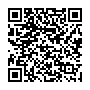 那是上百只身躯庞大的恐怖红色血兽铺天盖地而来二维码生成