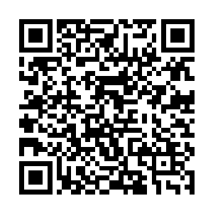 那是他们获得母龙喜爱的前提……没有婚房怎么结婚二维码生成