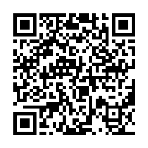 那是他被逼无奈将正气杂货铺两成份子交出去换来的二维码生成