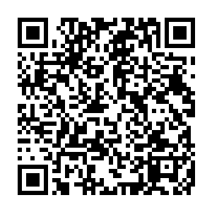 那是原来时空中范冰冰范爷在第63届法国嘎纳电影节上所穿的龙袍装二维码生成