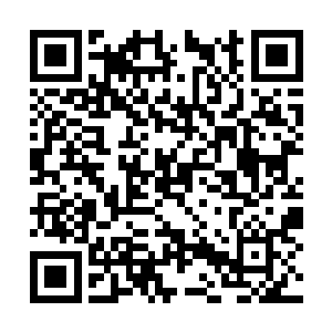 那是否意味着……比利本身也仅仅是被系统灌输了二维码生成