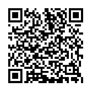 那是因为他们觉得上元大陆的修士一定修为低下二维码生成