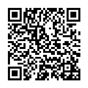 那是因为他偷眼看到对面的房间内琴案旁端坐着一个女子二维码生成