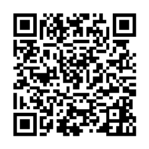 那是因为以前镜头也没这么频繁地切到她这边吧二维码生成