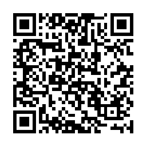 那是因为克莉丝汀曾经与上一任冥王有过不浅的感情二维码生成