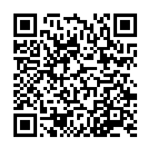 那是因为娑娜是他的亲侄女而且从小就失去了父母的缘故二维码生成