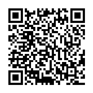 那是因为所有的圣级域外天魔又再一次被困在了寂灭的剑势之中二维码生成