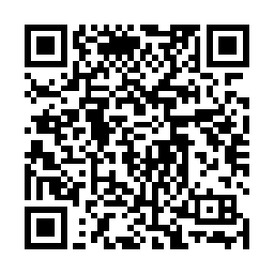 那是因为苏凡的注意力在之前那名天辰圣盟成员的身上二维码生成