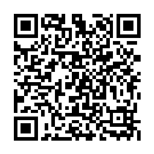 那是因为那些外来者还没有让这些大人必收不可二维码生成