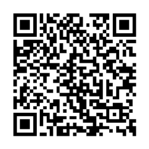 那是因为那些被创造出来的火妖是火妖王所创造二维码生成