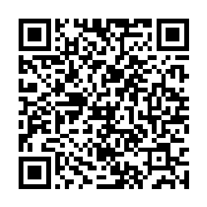 那是天地对不可控的完美武道根基生出的强烈忌惮二维码生成