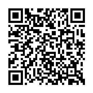 那是木铁和蓝玲珑的姐姐蓝菲儿战斗时所看到的二维码生成