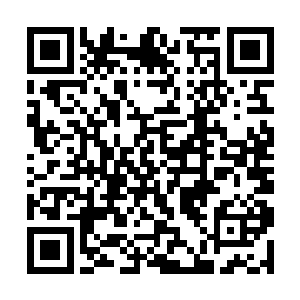 那是空间的一种罕见的ss级魔兽――英招之王之皮二维码生成