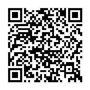 那是自幼生长在世家之中才能够熏陶出来的高贵二维码生成