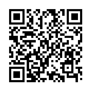 那是菲世宇宙的高阶修士不断陨落的二维码生成