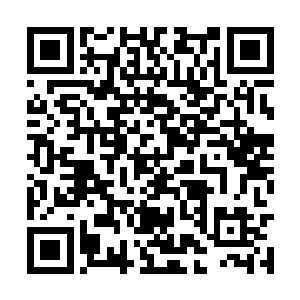 那是让他们难望项背的恐怖战力和所向披靡的勇猛二维码生成
