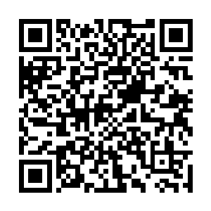 那是雷林从自己领地上发现的几个拥有天赋的人才二维码生成