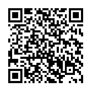 那显然海族跟亚特兰蒂斯人已经很有可能达成了联盟二维码生成