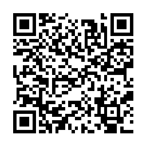 那更是堪比上品灵药的……而它之所以珍贵则在于二维码生成