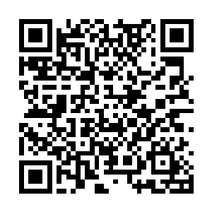 那有没有办法能从分身的脑海里读取到有用的信息二维码生成