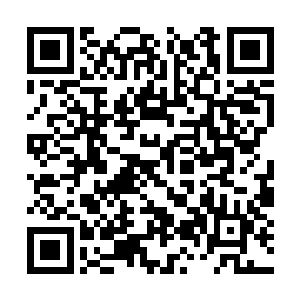 那本是无形的气浪在这刻似乎爆出令人胆寒的光芒二维码生成