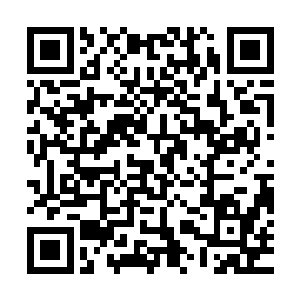 那本来对着方恒披头斩杀的血家家主也是毫不犹豫的就一晃身躯二维码生成