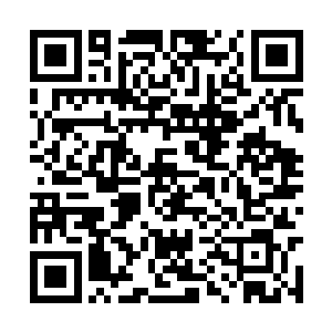 那村头一副淡然模样的指着前面的土地划了一个圈二维码生成