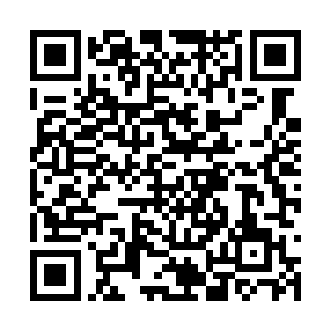 那杜家长老怀着歉意看了看在拍卖台一角的杜蓉蓉二维码生成