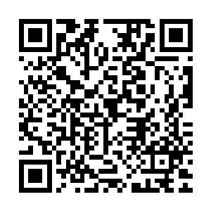 那条折磨了他一个钟头让他生不如死的小蛇竟然就已经跑出去了二维码生成