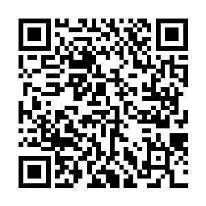 那条青蛟元纹……青蛟……难道那条元纹是青蛟一族的吗二维码生成