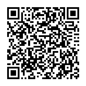 那枚丹药能让你从一个普通的九鼎高手成为拥有s级佣兵实力的强者的二维码生成