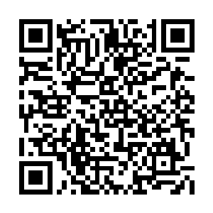 那柄暗金之色的巨刻被那只遮天巨手给捏的粉碎二维码生成