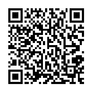 那柄由彩色水蛭凝聚出来的长枪便呼啸着向着王卧云激射而去二维码生成