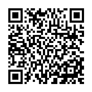 那样子……就好像是穷凶极恶的大灰狼盯上了香嫩可口的小白兔二维码生成