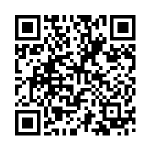 那样子就好像在安抚一只小野猫似的二维码生成