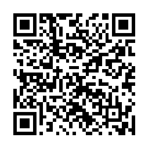 那样的话不是显得自己有些此地无银三百两的味道了么二维码生成