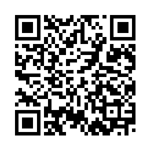 那根竹子落在了地面上扎根于大地二维码生成