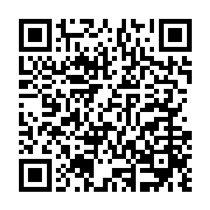 那桃花等人居住的星球已经扩张到了苍茫大陆的一半大小二维码生成