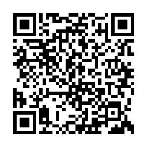 那梓龙白果花的位置正是在这上古凶地的最深处二维码生成