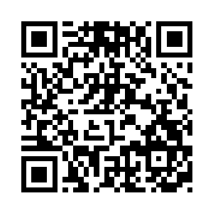 那森林之中的树木不但没有变的更大二维码生成