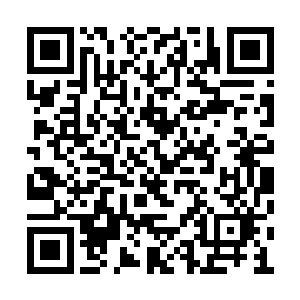 那椭圆形算是横七竖八毫无规律杂乱排列在一起二维码生成