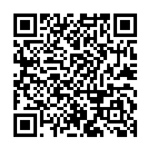 那正在跟白色巨蟒纠缠的四臂女子也是被卷入到了这漩涡之中二维码生成