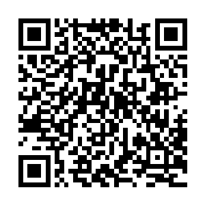 那毒龙在遭受到连续的攻击之后庞大的身型突然显现出來二维码生成