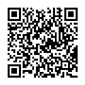 那毒龙的幻化之躯依然了无生机的张着大口盘踞在其中二维码生成