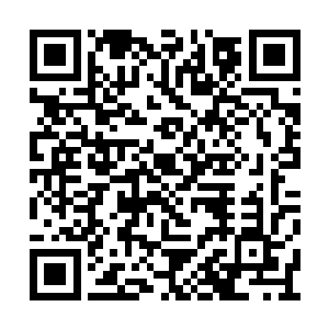 那比代离头颅差不多大两倍的蛇头往她得头咬去二维码生成