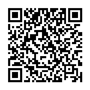 那水蛇眼中闪烁着猩红色的光芒朝着铃铛攻击了过去二维码生成