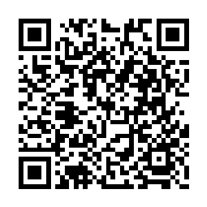 那水龙以一己之力硬是打死打伤数位门派的宗主二维码生成