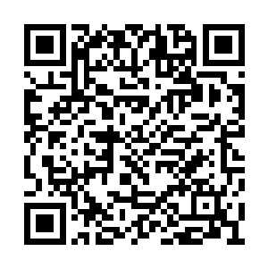 那江一一能屡屡从法网下脱逃想必也不是一般人二维码生成