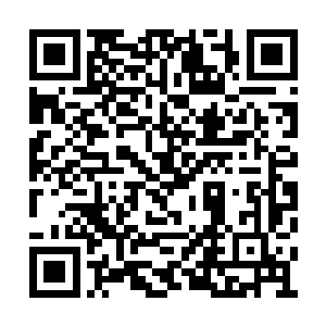 那汹涌恐怖的星界本源能量便沿着伤处进入体内二维码生成